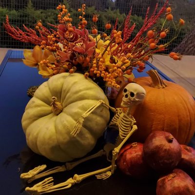 brenda-berkely-designs-halloween