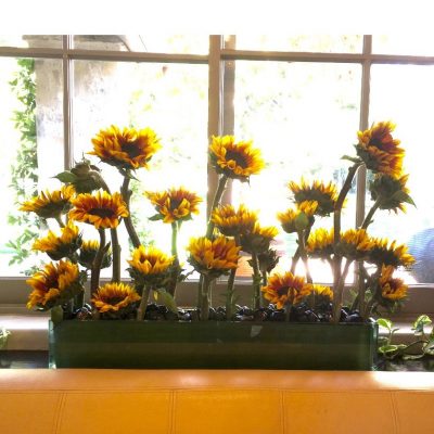 brenda-berkley-flowers-20