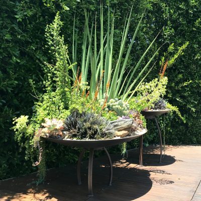 brenda-berkley-plantings-10